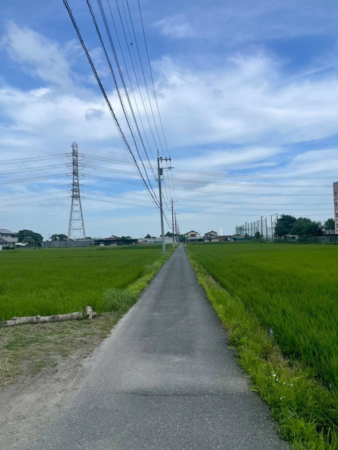 写真画像：