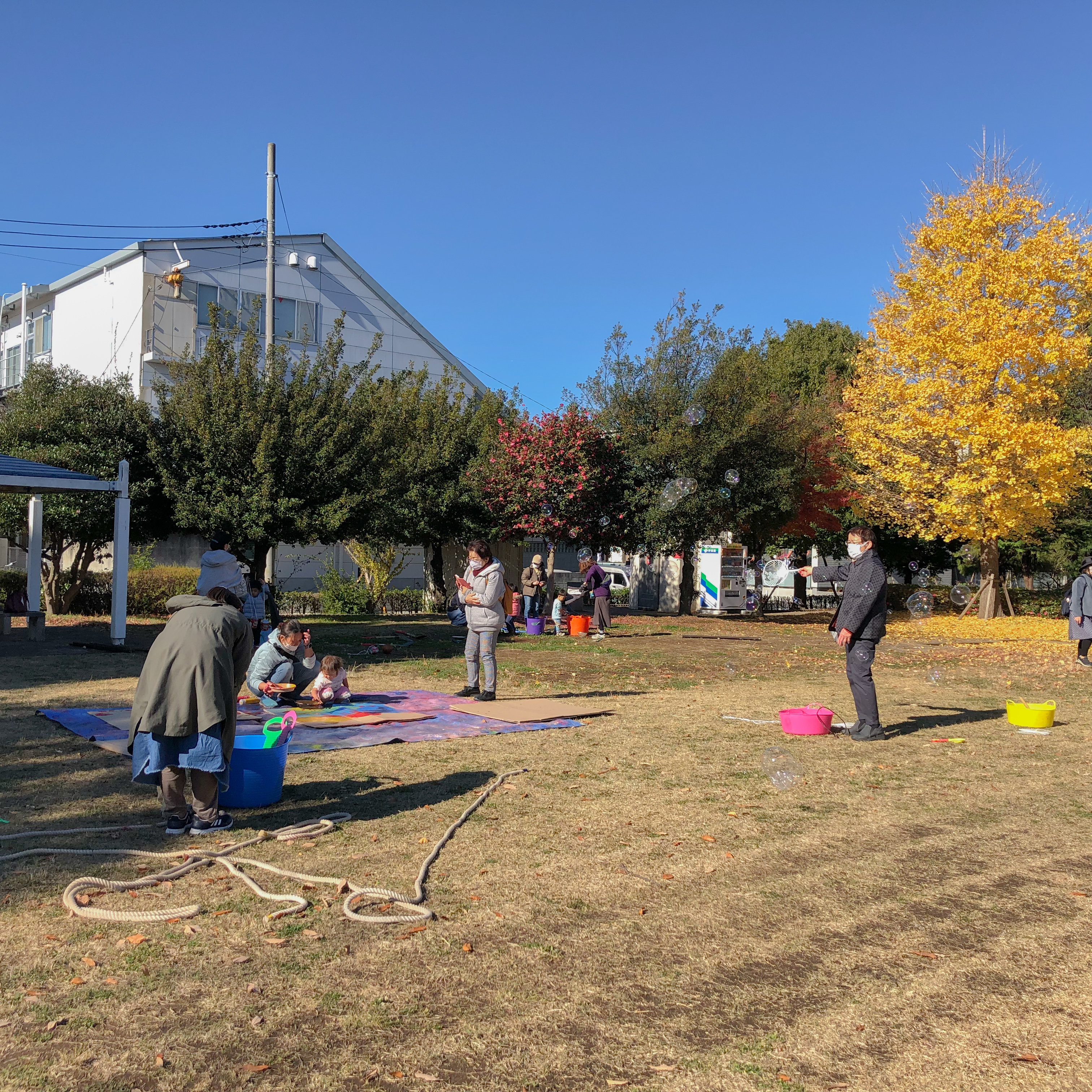 写真画像：公園写真