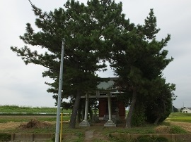 写真画像：神社全体