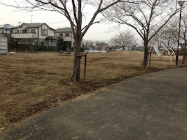 写真画像：公園の広場