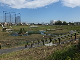 写真画像：公園にある遊歩道