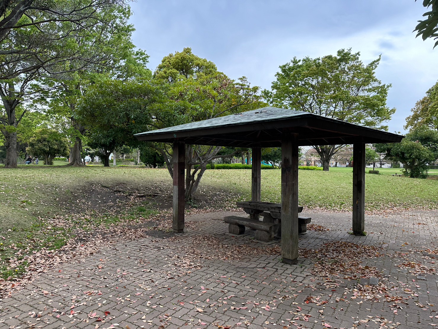 写真画像：公園にあるベンチ