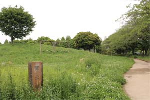 写真画像：遊歩道