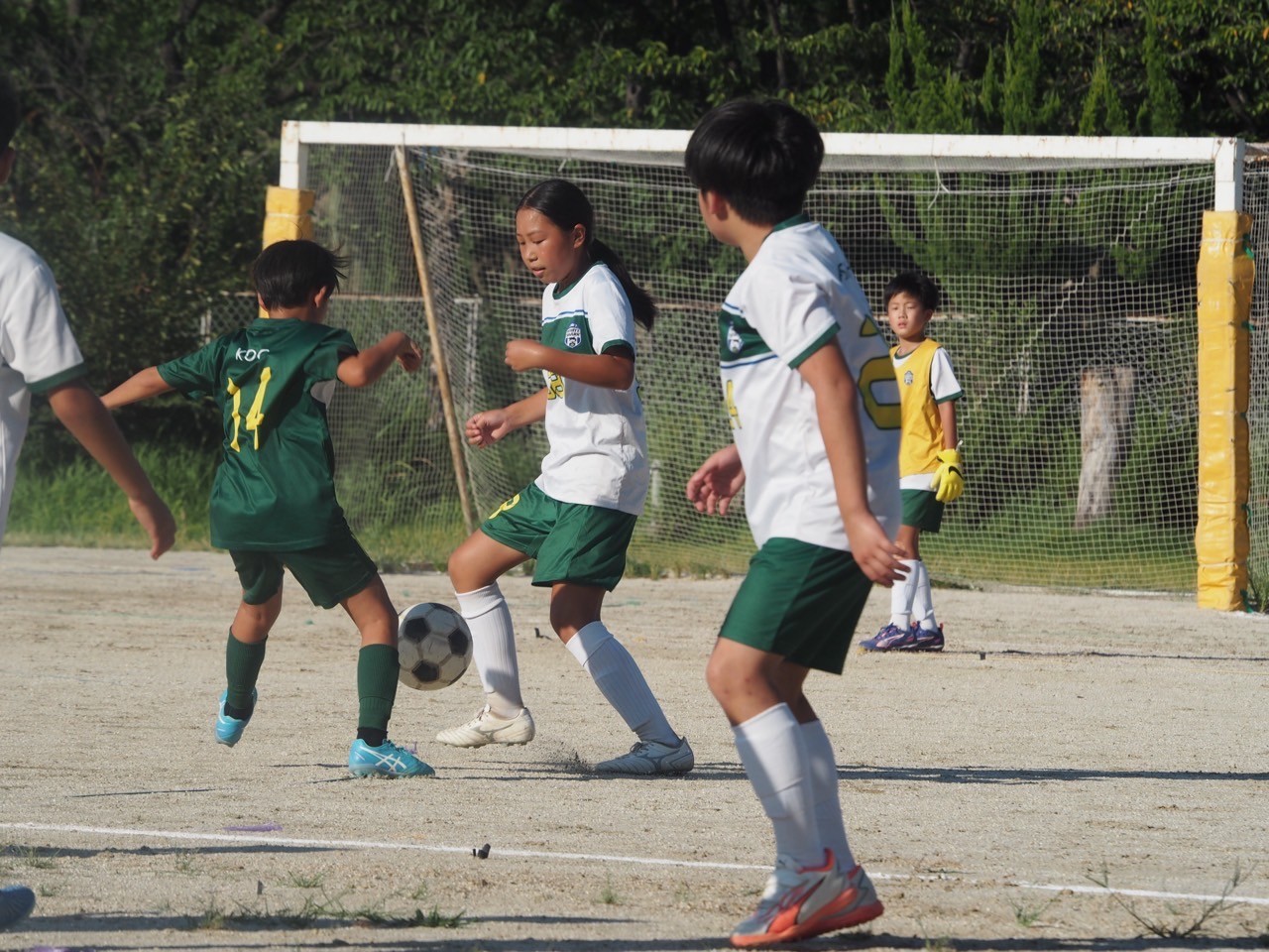 写真画像：吉川ホワイトシャークスポーツ少年団